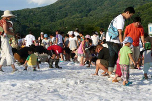 雪上宝さがし