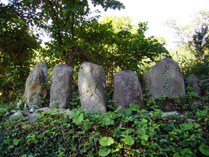 小屋の草木塔