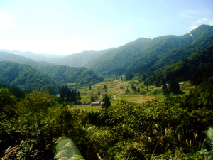 小屋の里山の風景