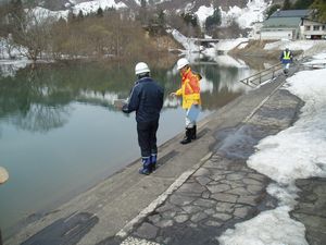 湖岸公園 親水護岸を点検