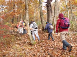 杖を片手に登山開始!