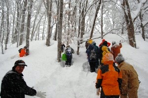 積雪の中、ブナに囲まれながらトレッキング