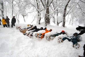 新雪にみんなで人形(ひとがた)をとってみました