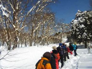 自然観察をしながらのトレッキング