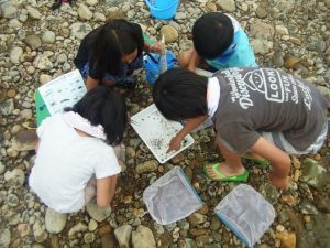 生物の種類から水のきれいさを調べます