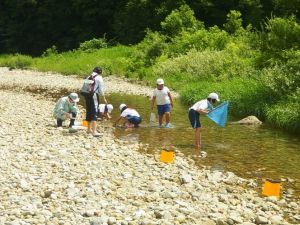 網や水中メガネで調査