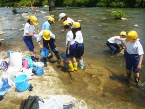 網や水中メガネで調査