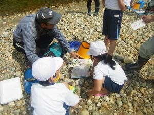 生物の種類から水のきれいさを調べます