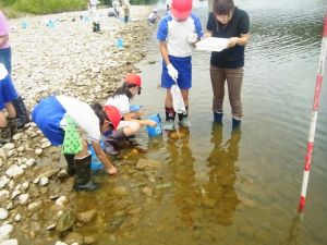 飯豊橋付近での調査