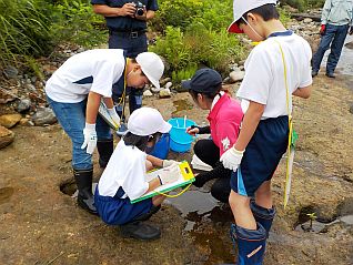 水温を測っています