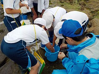 パックテストによる水質調査