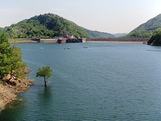新緑萌える白川湖 H28.5.16撮影