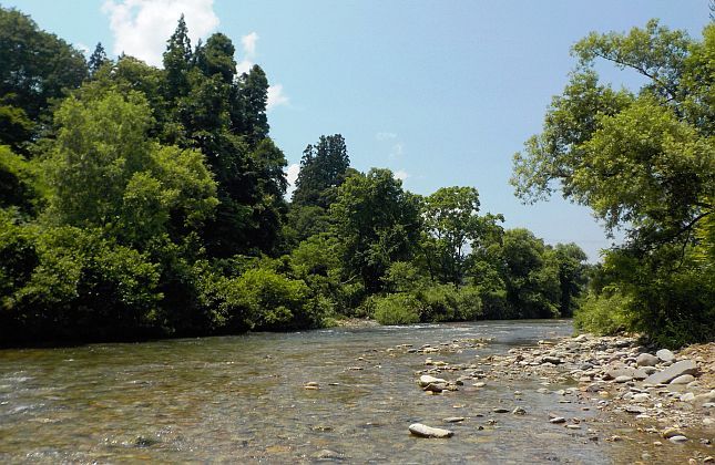 上原橋付近の河川の様子