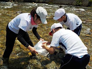 石の裏にはどんな生物が潜んでいるかな？