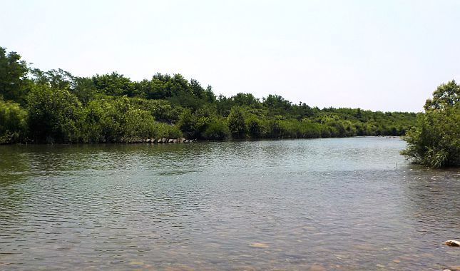 飯豊橋付近の河川の様子