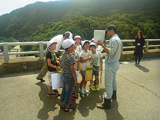 ダム周辺や白川湖にはいろんな生き物がいるんだよ