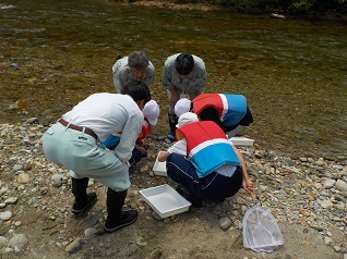 大きな水生生物発見！