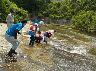 川の水が透き通っています