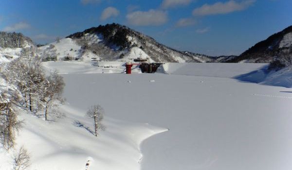 平成26年1月15日の湖面の様子 (洗尾橋からダム堤体を望む)