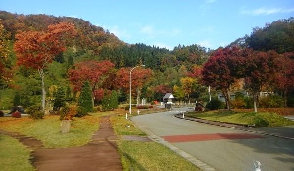 平成26年10月24日の庁舎前の紅葉の状況