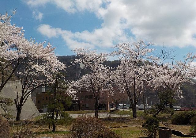 平成28年4月22日 白川ダム管理支所庁舎付近の様子