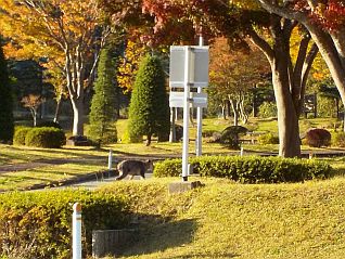 平成28年10月26日 庁舎前にて撮影