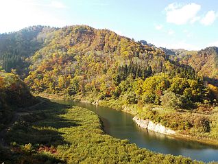 白川と紅葉のコントラストが美しい （平成28年10月27日撮影）