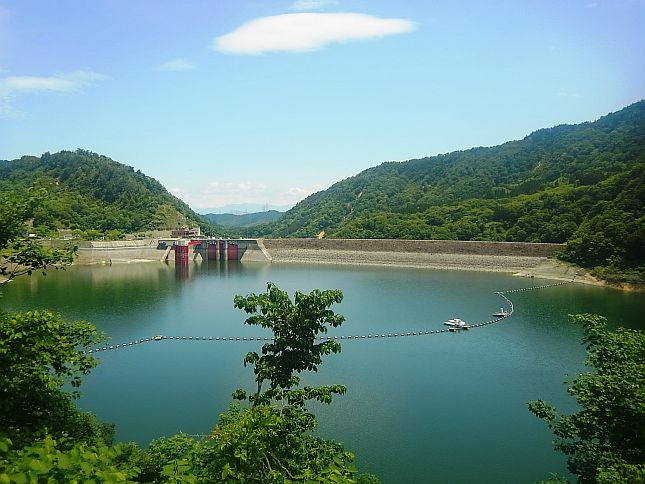 平成29年6月15日ダム上流面を望む（大鹿橋より撮影）