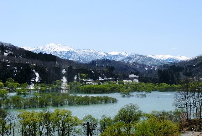 須郷橋付近から見た水没林と飯豊山系の残雪（平成29年５月撮影）