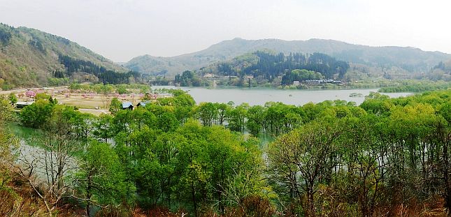 源流の森展望台付近から眺める湖岸公園と白川湖