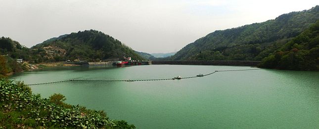 県道駐車帯から見る満水の白川ダム