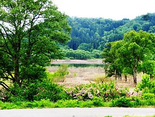 湖岸公園カメラ方面から見た白川湖