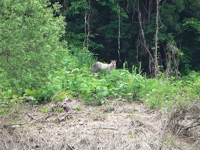 平成30年5月28日 巡視船より撮影