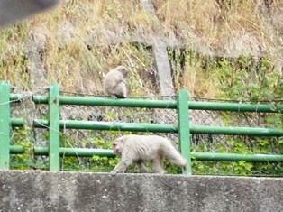 朝と同じルートを通って帰って行きました