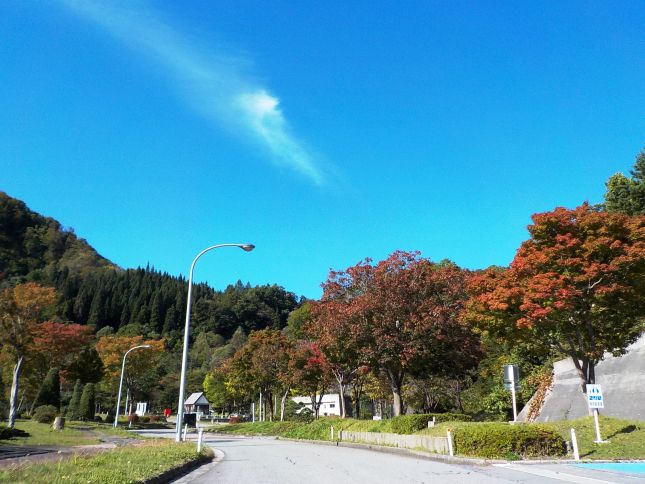 真っ青な空と赤く色づいてきた木々のコントラスト♪