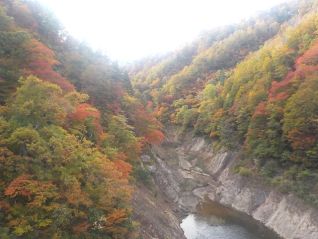 県道4号線沿いに見える美しく紅(黄）葉した木々