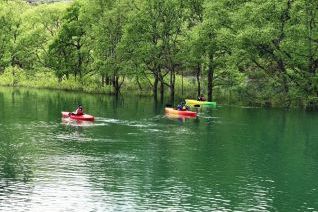 水没林をカヌーで巡る人々