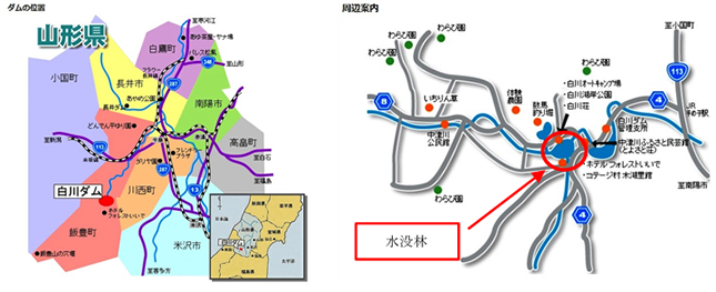 「白川湖の水没林」位置図