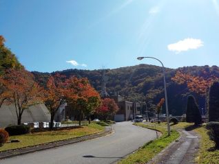 ダム公園内の様子