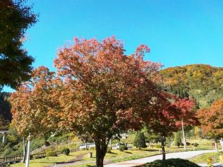 ダム公園内の様子