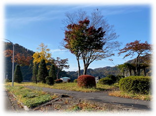 【 ダム公園＊8時15分撮影 】