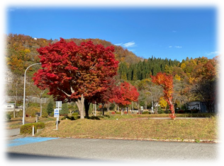 【　ダム公園　】