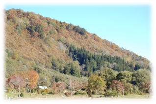 白川荘周辺