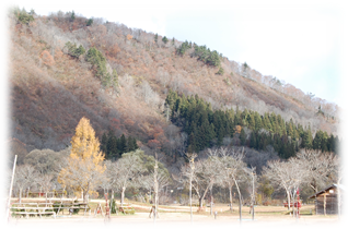 白川荘周辺