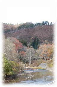 白川荘周辺