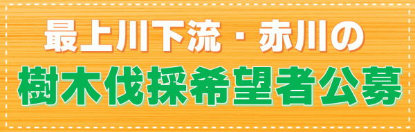 河川内の樹木伐採希望者公募