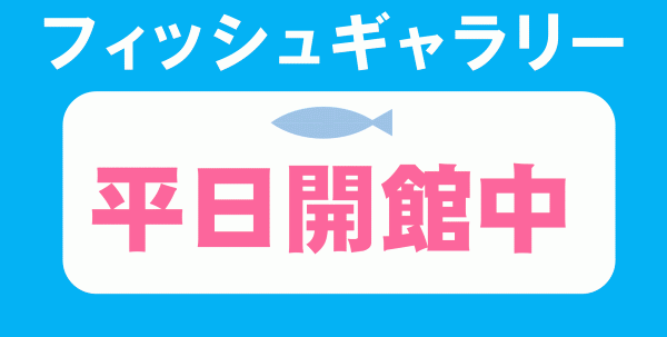 フィッシュギャラリー平日開館中