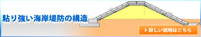 粘り強い海岸堤防の構造