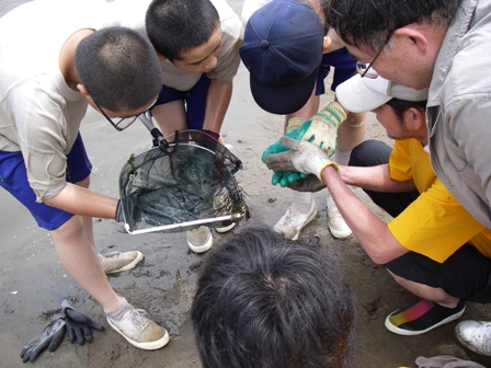 水生生物を捕獲・観察中