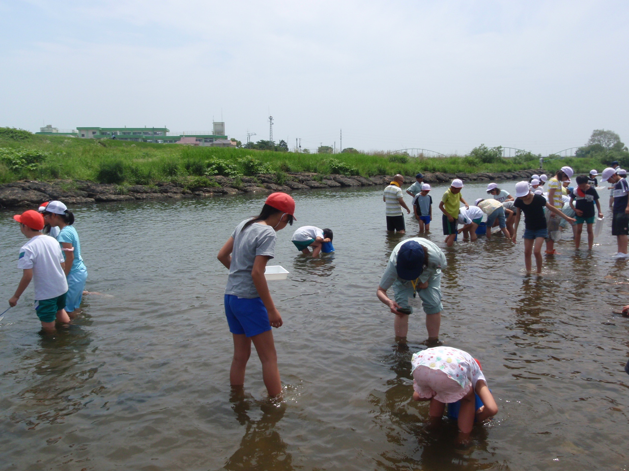 川に入り水生生物を調査中